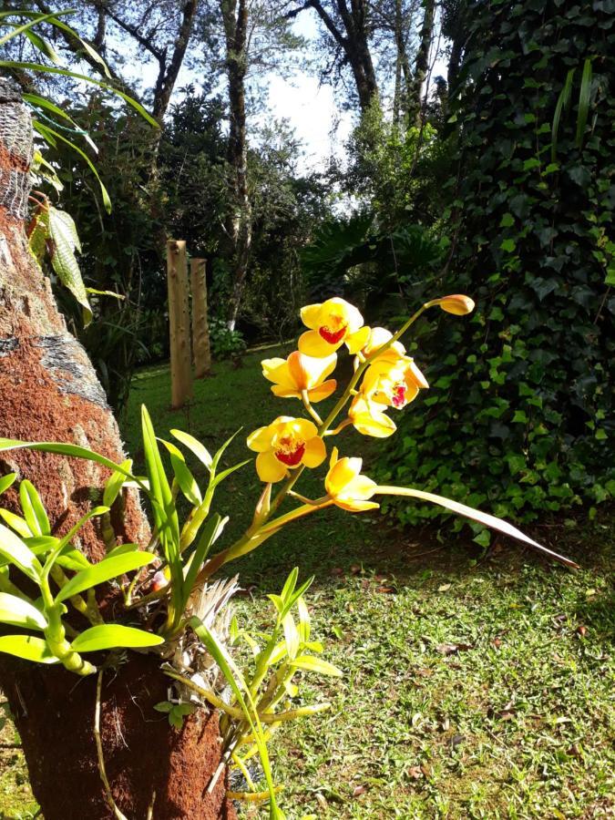 Casa Da Sol Monte Verde (Minas Gerais) Exterior photo